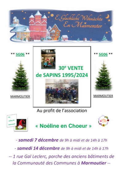 Samedi 07 décembre 2024 30ème vente de sapins à Marmoutier